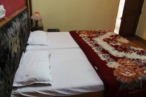 Hariyali Palace Hotel, Udaipur 2